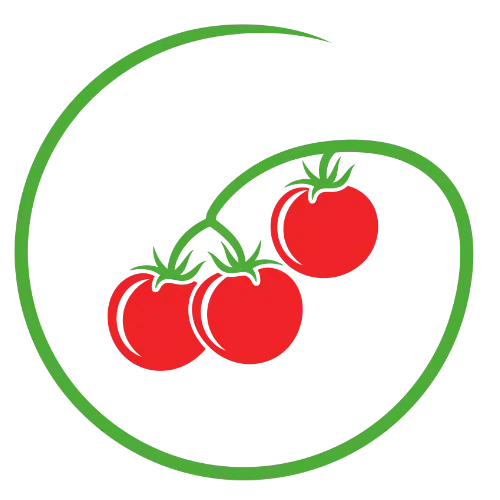 Grafik - Tomate 04